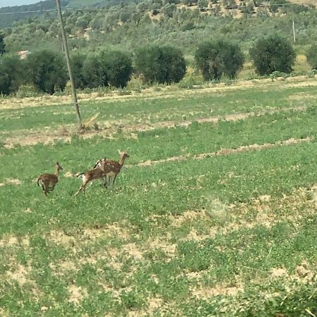 Casetta Tre Poderi Appartamento Papaveri Monte Cucco Exteriör bild