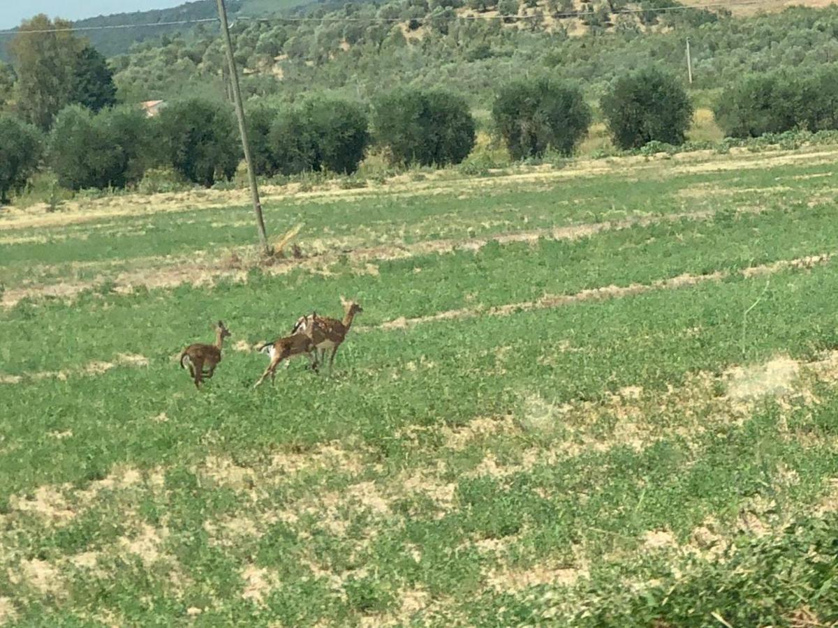 Casetta Tre Poderi Appartamento Papaveri Monte Cucco Exteriör bild